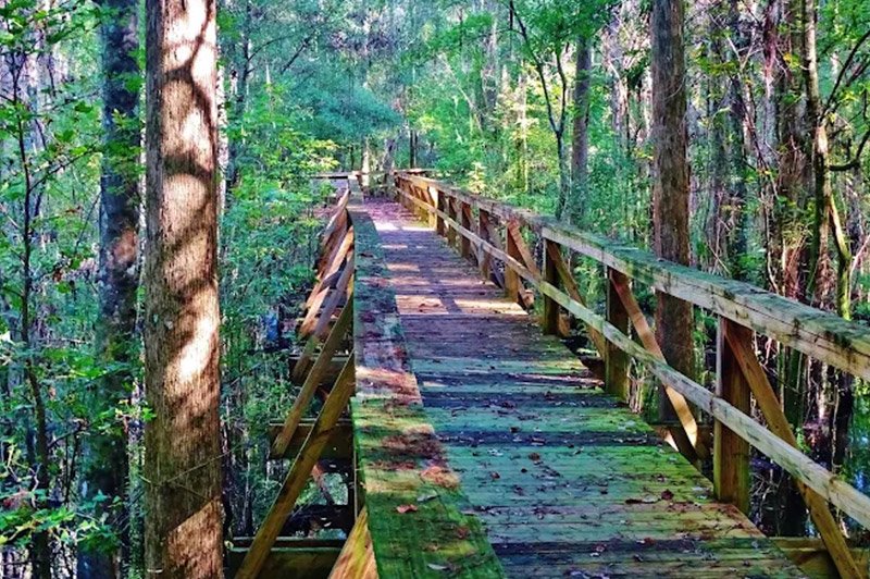 RV Park with Fishing near Bartow Florida