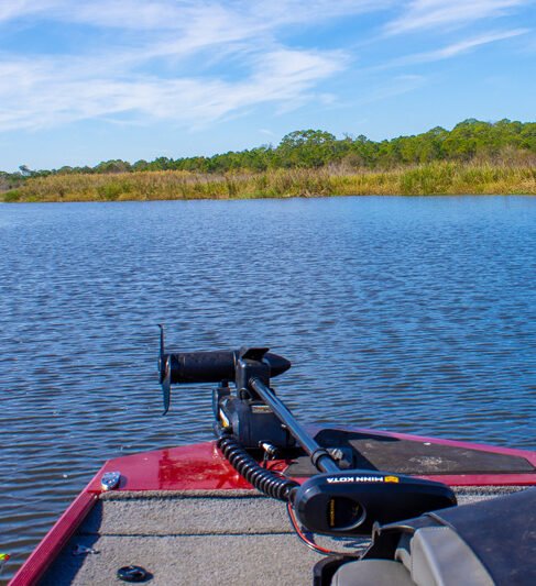 Bud's RV Resort in Lake Wales Florida