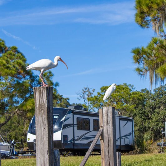 RV Park with Marina near Lake Alfred FL