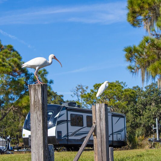 RV Park with Marina in Lake Wales, FL
