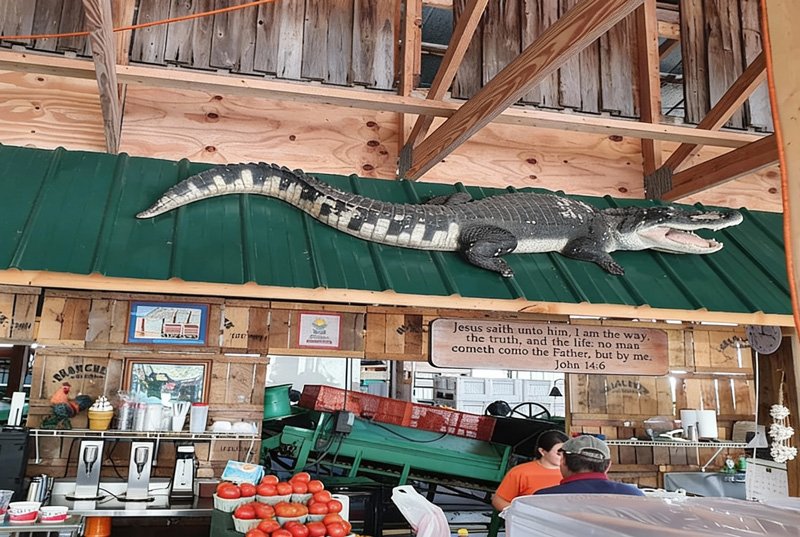 Long-Term RV Camping Florida