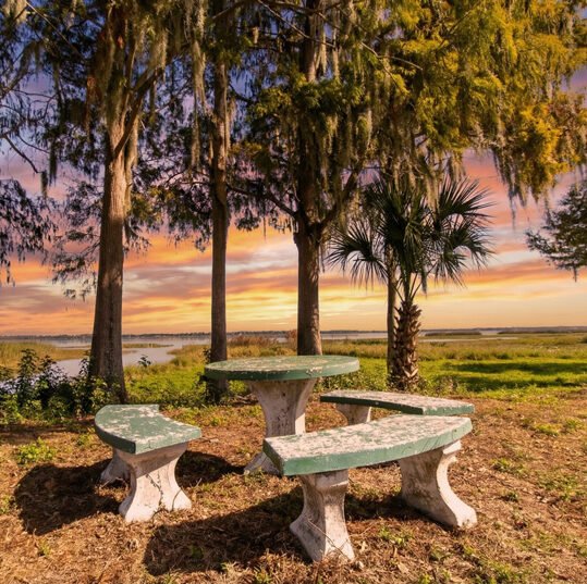 Pet Friendly RV Site Tiger Lake